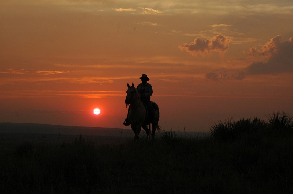 Park ranger patrolling on horseback