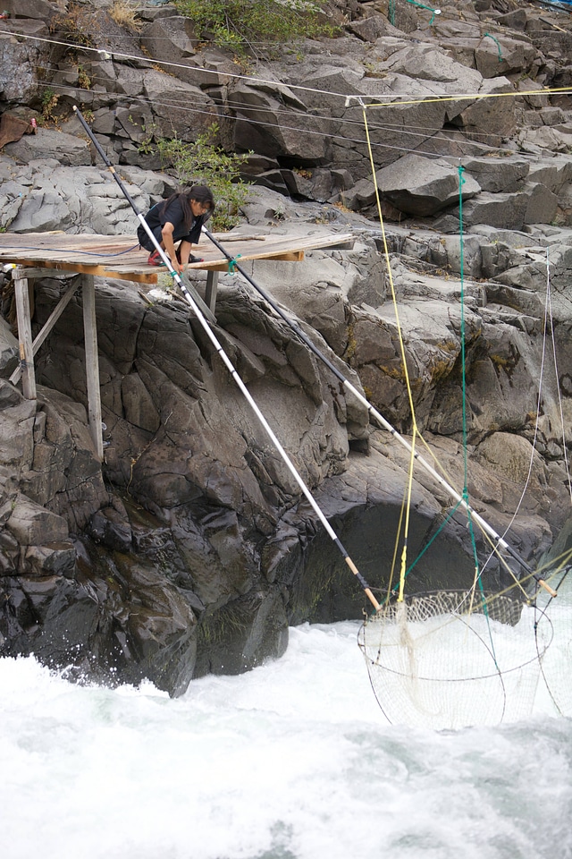 Yakama tribal member with dip net pully system