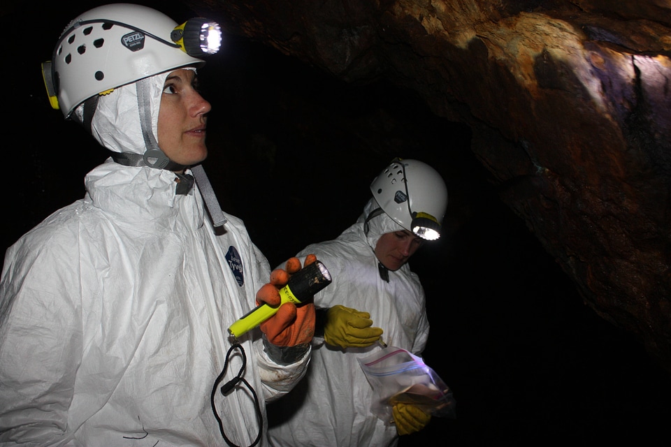 Checking the mine wall for bats