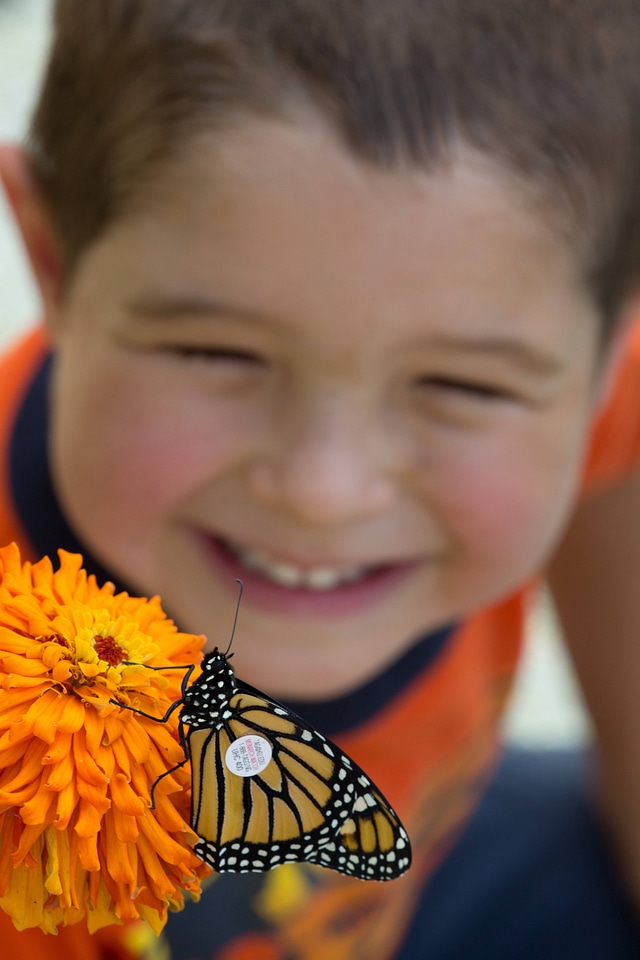 Tagged Monarch and child-1