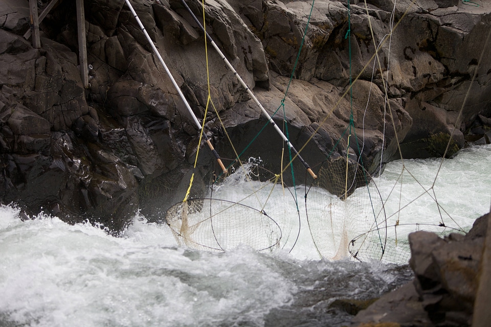 Traditional dip net fishing