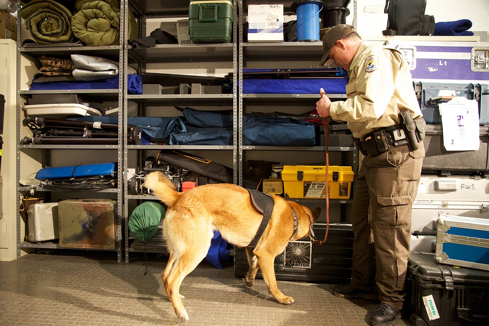 Law enforcement with K-9-1