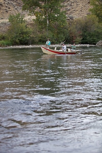 Recreational boat fishing-1