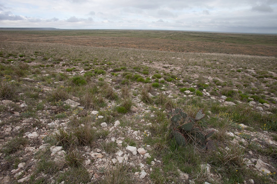 New Mexico landscape-2