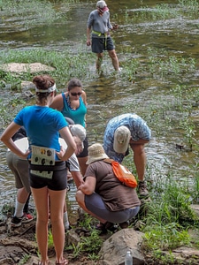 Students examine freshwater mussels on shore-1