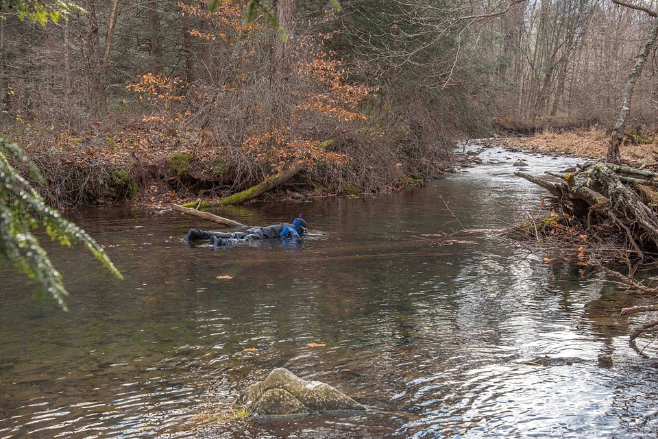 Photographer taking pictures of brook trout in Seneca Creek-2