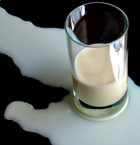 Sheds white drink