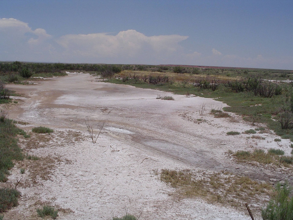 Dry creek at Bitter Lake National Wildlife Refuge