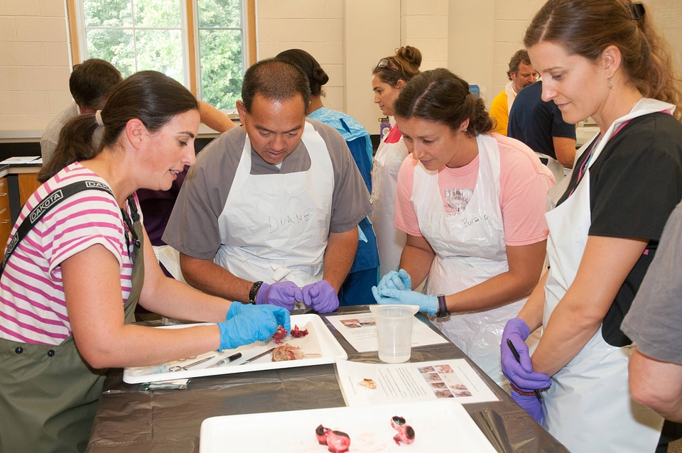 Marine Mammal Stranding Course at NCTC-3