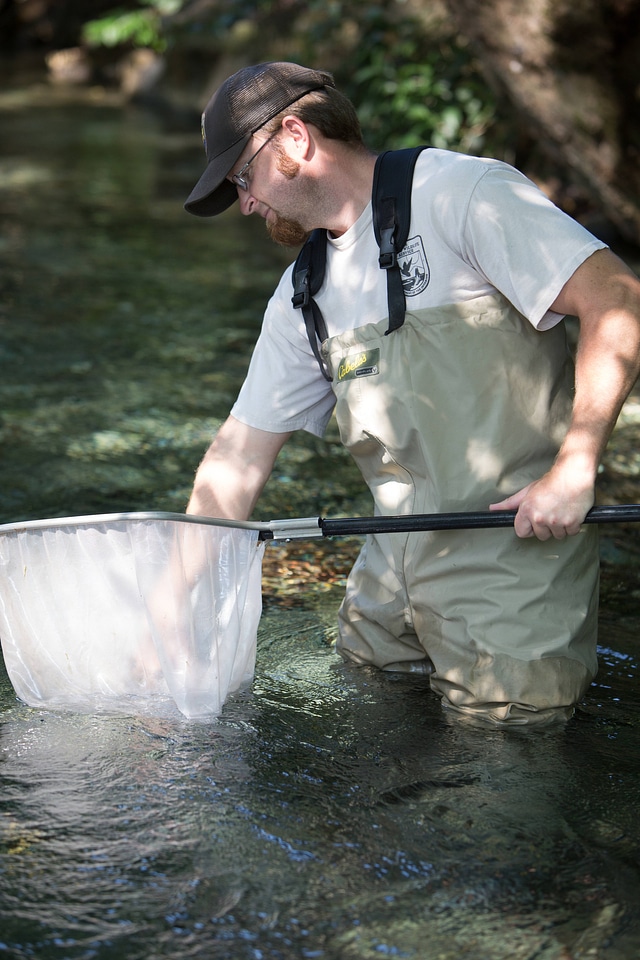 Biologists search for Fountain Darter-2