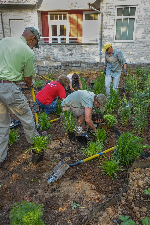 Planting a monarch garden-2