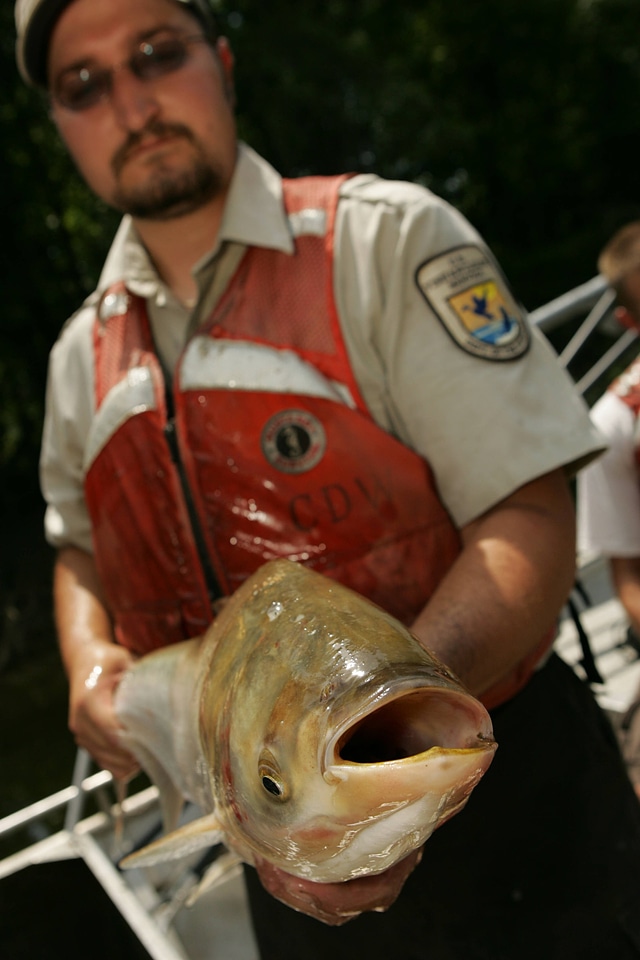 This fish is trouble!