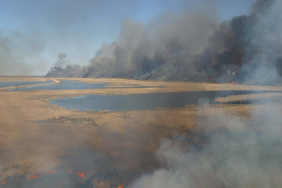 Prescribed Burn - Agassiz National Wildlife Refuge