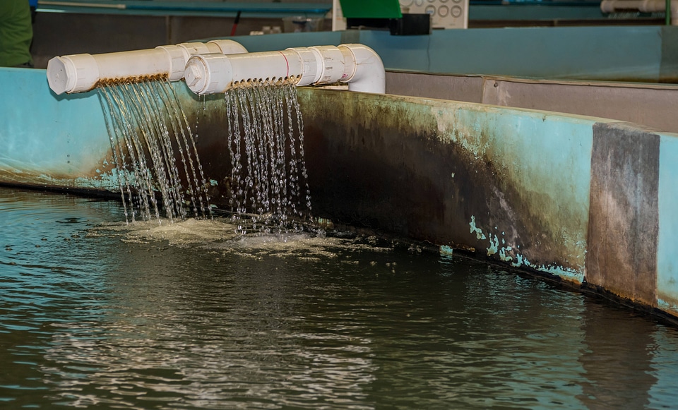 Water inflow for Broodstock tank