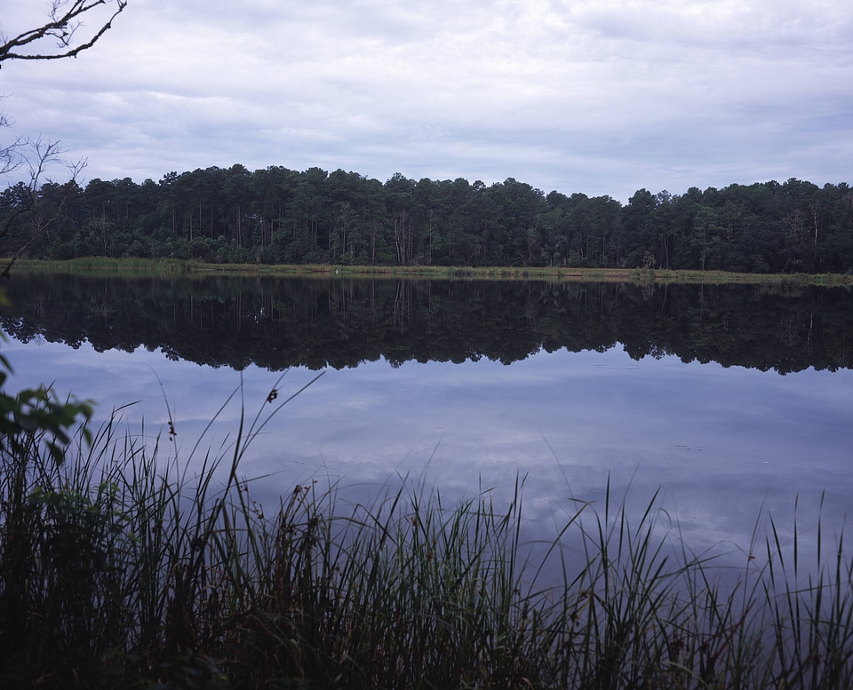 South Carolina Coast-2