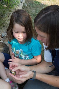 Biologist teaches children about the Monarch butterfly-4