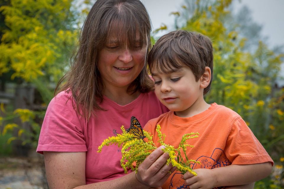 Mother and son with monarch butterfly on goldenrod flowers-2