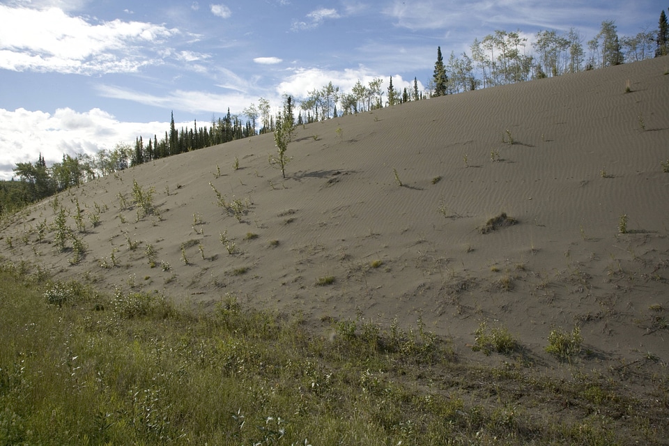Sandy hill with vegetation