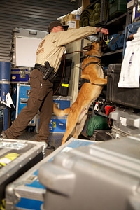 Law enforcement with K-9-1