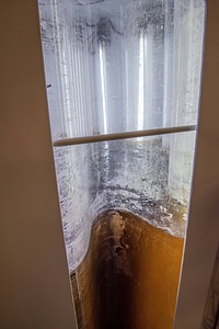 Plankton reactor for growing brown algae-7
