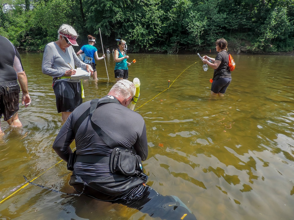 Students surveying freshwater mussels-1