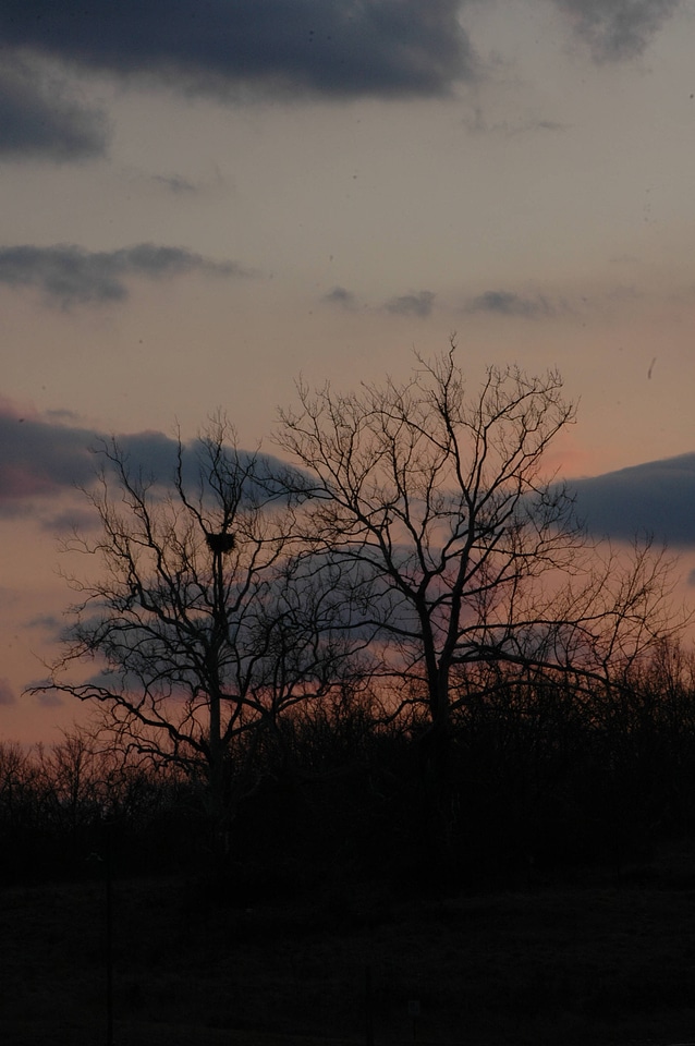 NCTC eagles nest at night-9