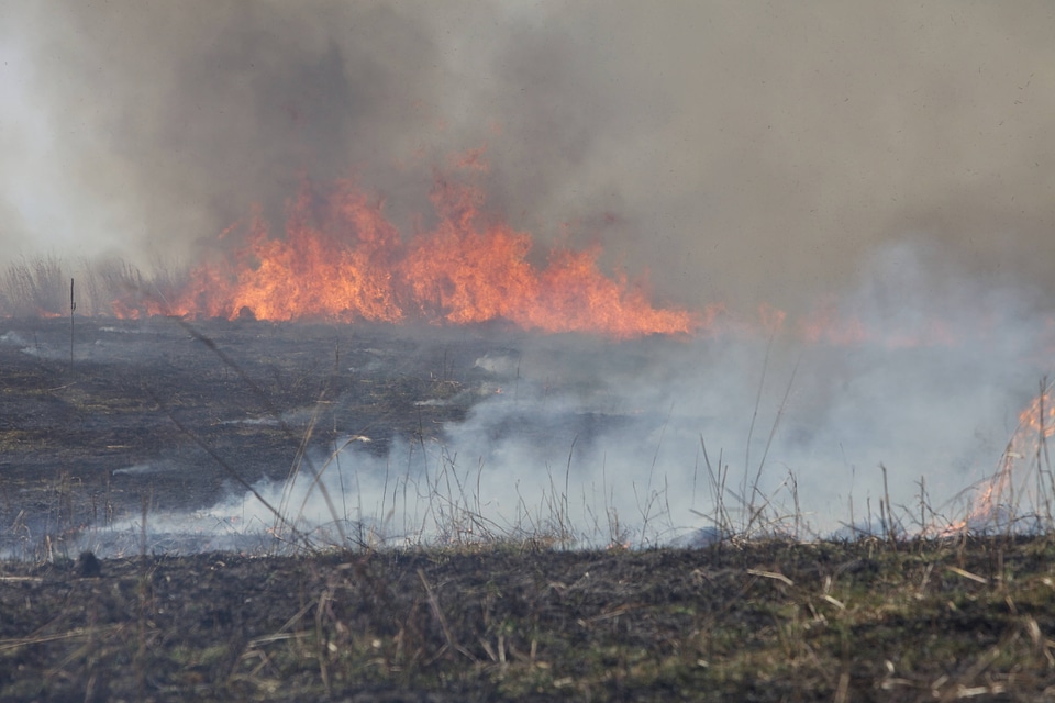 Burning field-4