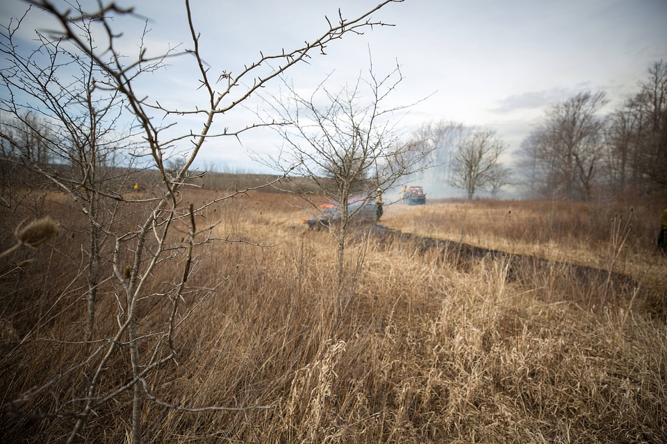 Prescribed burn at Canaan Valley National Wildlife Refuge-3