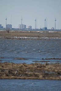 Wind Turbines-2 photo