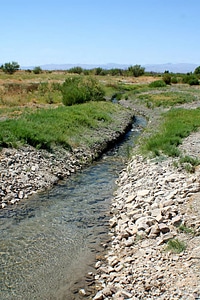 Spring Outflow Restoration at Ash Meadows National Wildlife Refuge photo