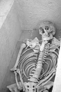 Black and white dead death