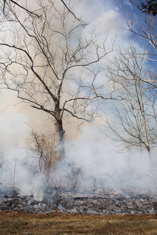 Prescribed burn at NCTC -1