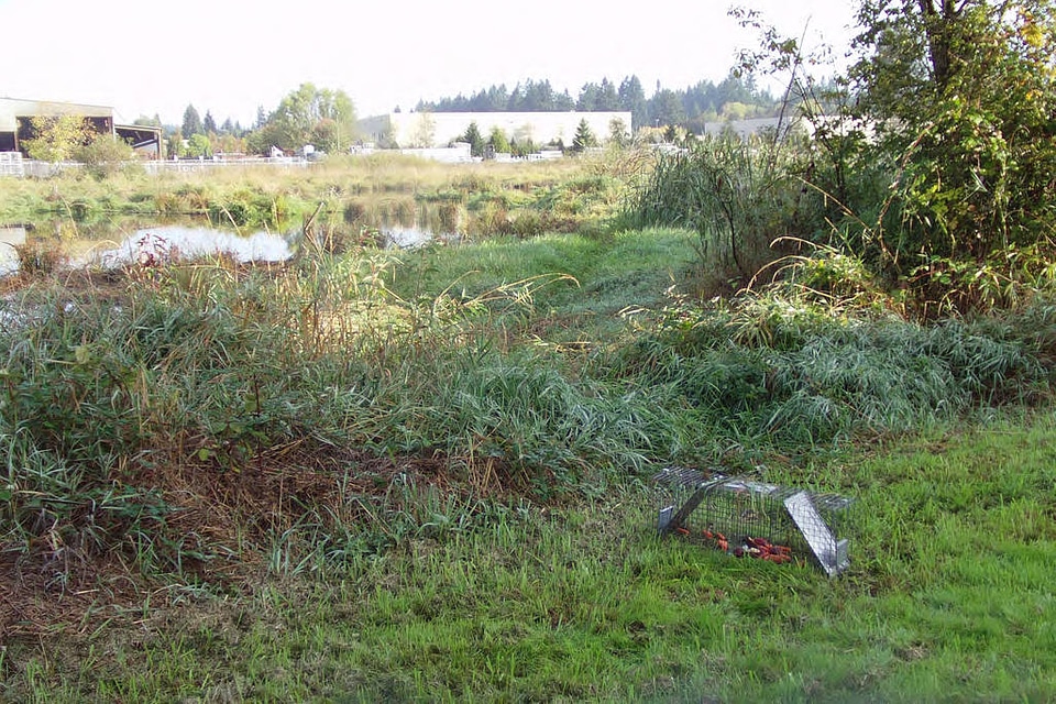 Nutria safe trapping