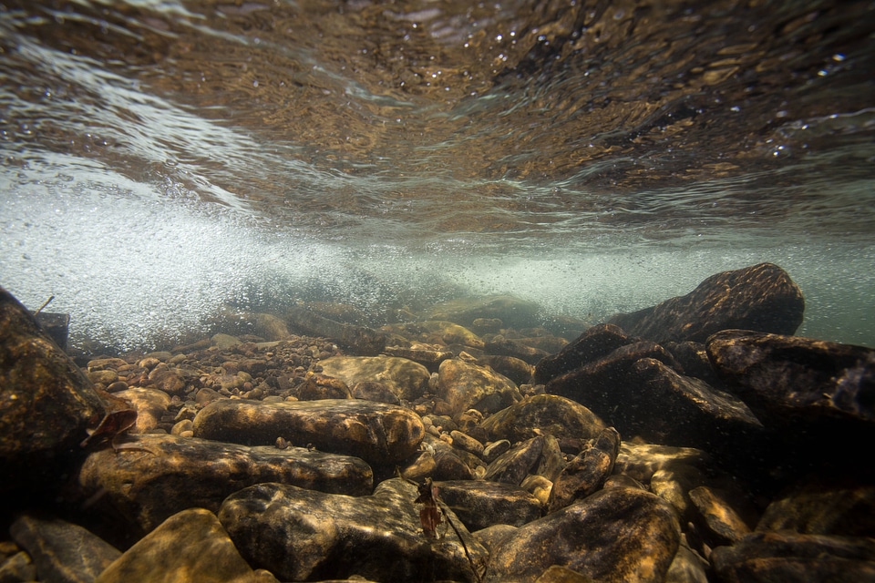 Underwater shot of bubbles in a clear mountain stream