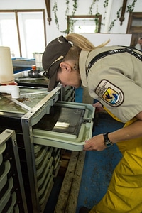 Biologist working at Leadville National Fish Hatchery-6