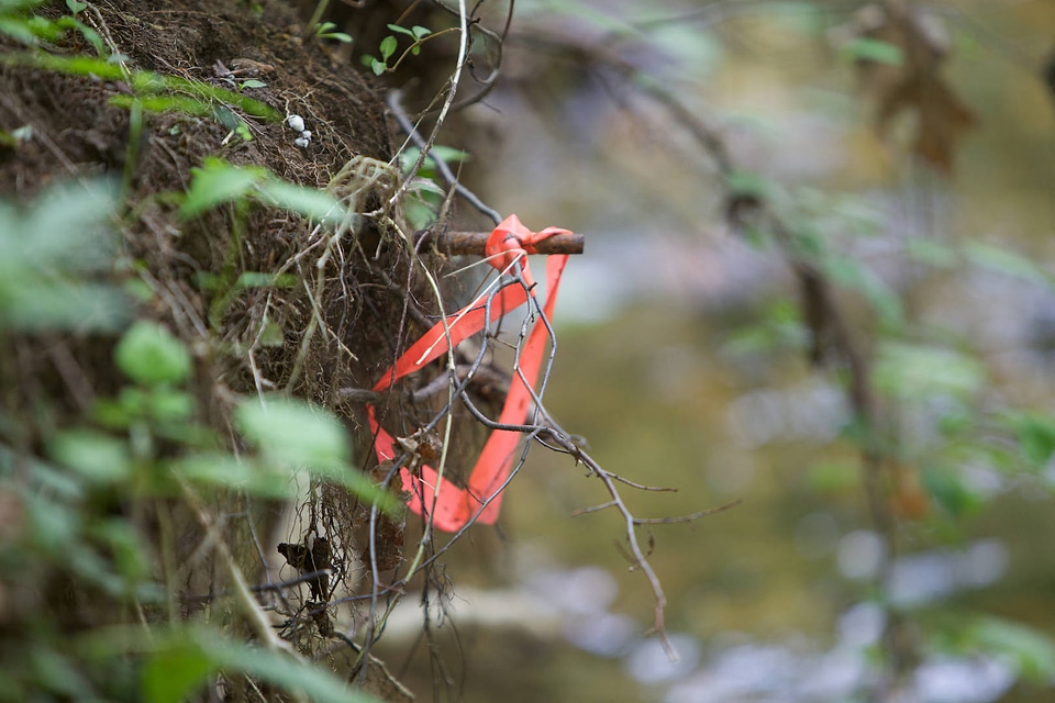 Flagging during river and stream assessment-3