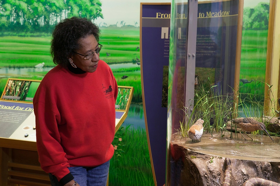 Visitor at the Herbert H. Bateman Educational and Administrative Center
