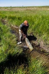 Employee monitoring wetland area