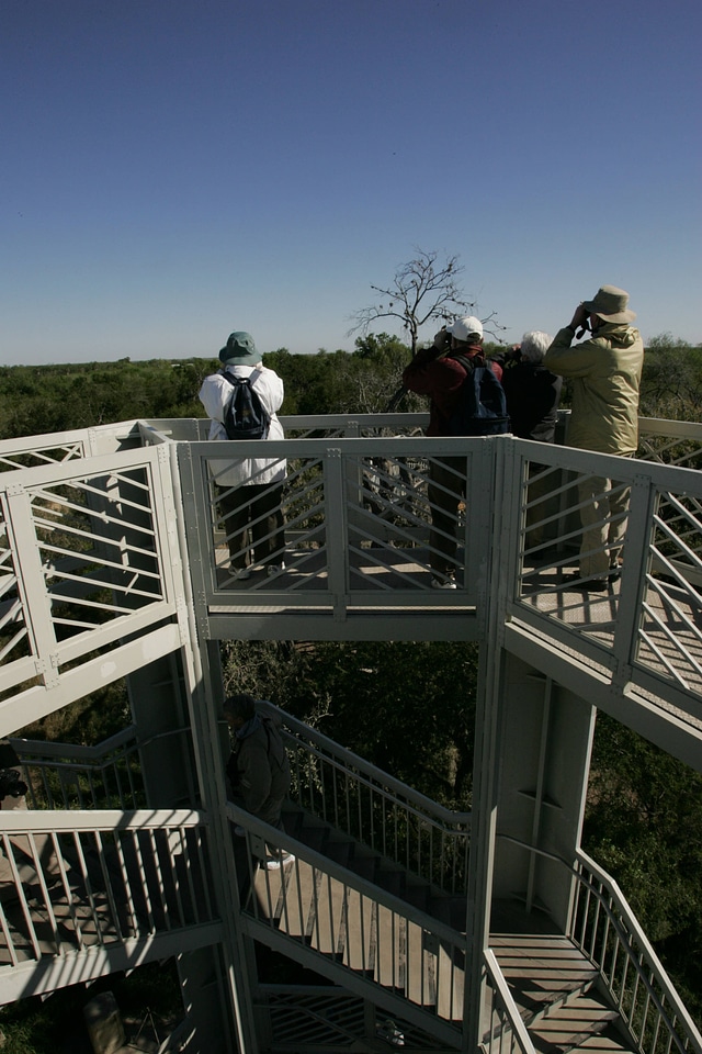 Open-air tower for bird watching