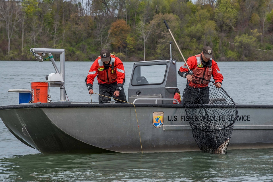 USFWS Fisheries crew in boat preparing for lake sturgeon field work-1