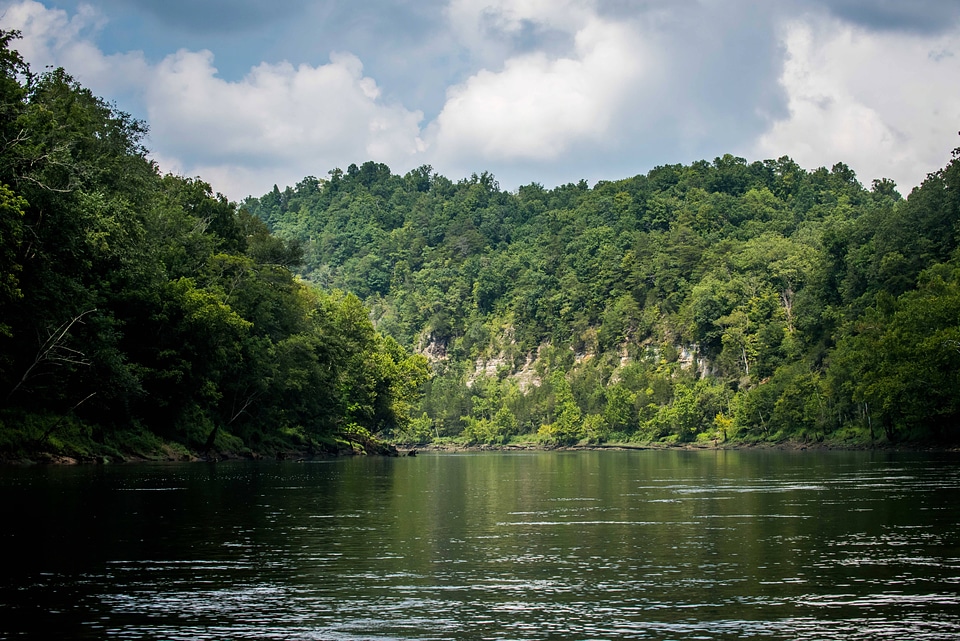 Scenic view of the Cumberland River Tailwater-1