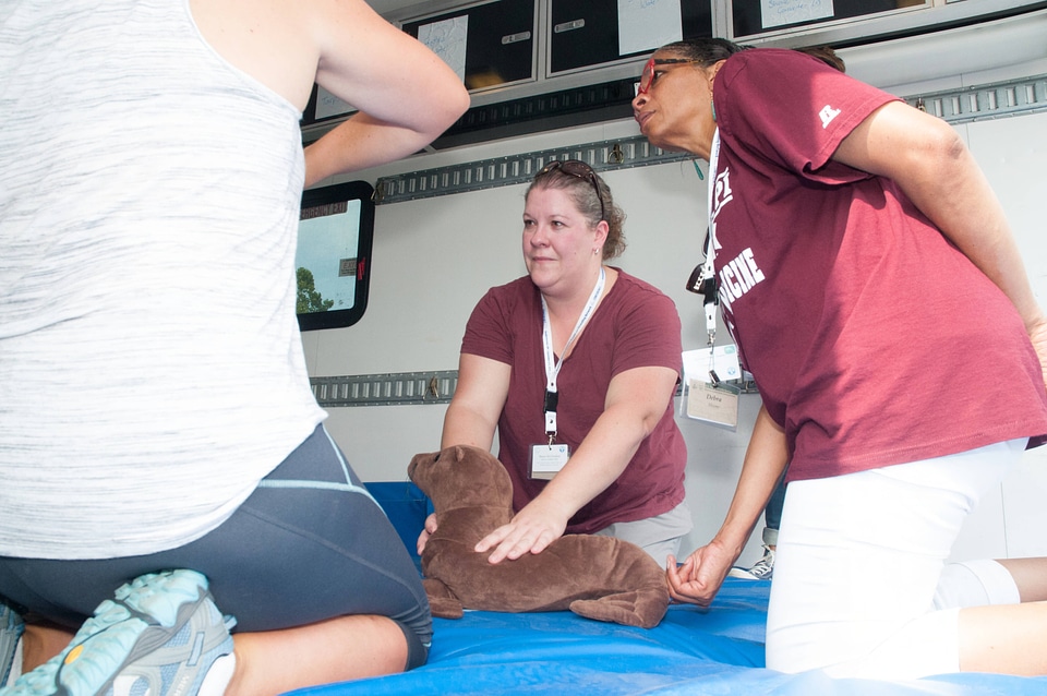 Marine Mammal Stranding Course at NCTC-3