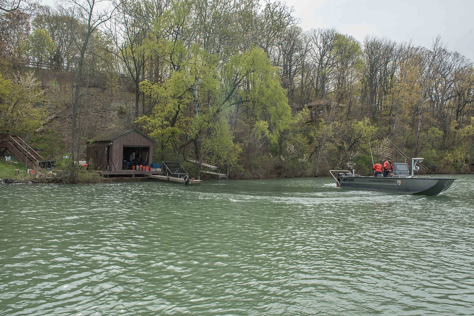 USFWS Fisheries crew in boat preparing for lake sturgeon field work-1