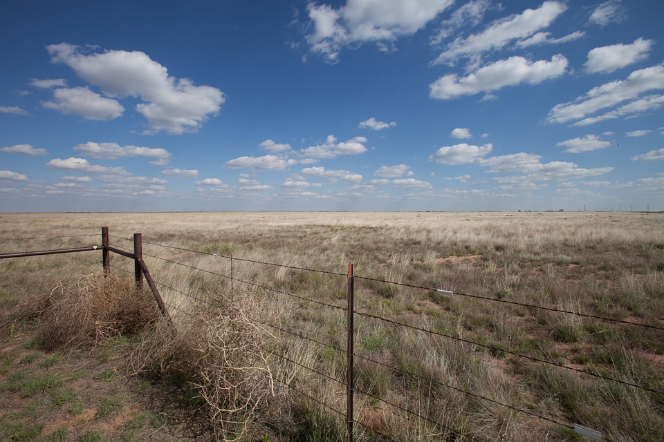Scenic prairie and barbed wire-1
