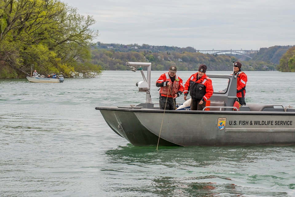 USFWS Fisheries crew in boat-1