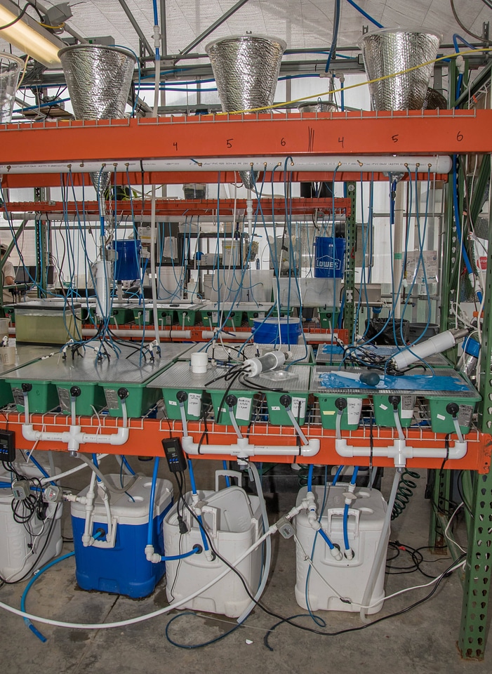 Mussel propagation equipment-1