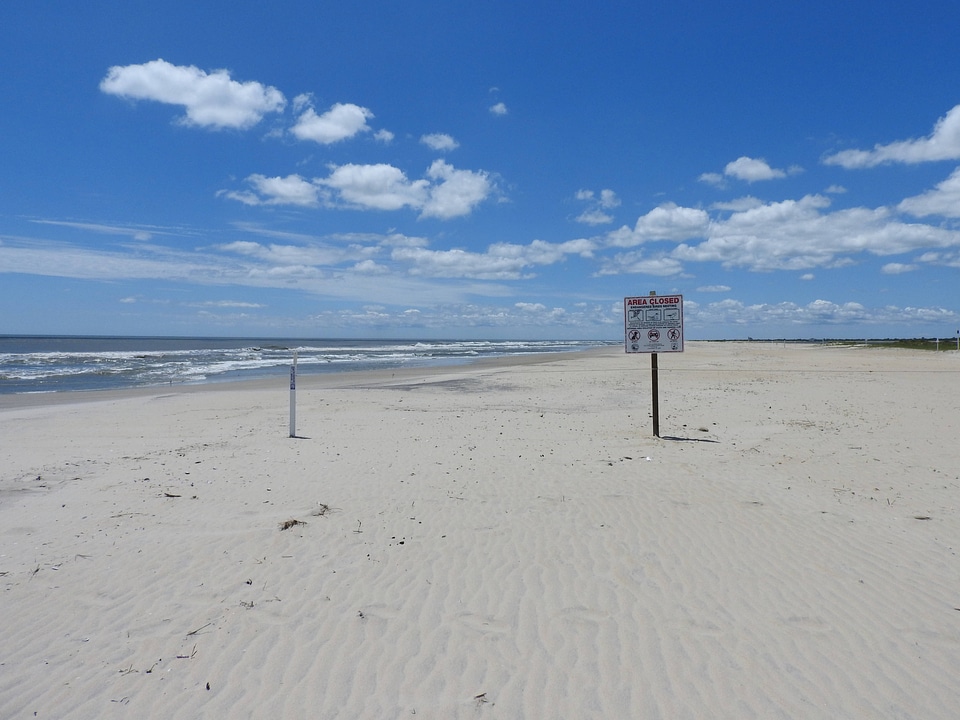 Endangered Birds Nesting sign