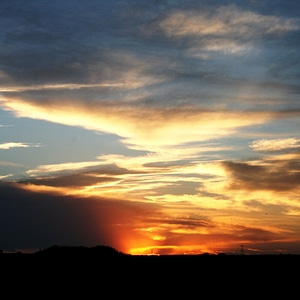 Flocky orange and yellow white and shadow