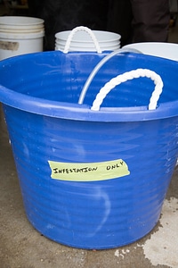 Infestation bath container