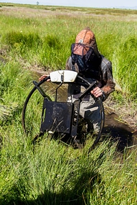 Employee tracks fish in wetland area-1